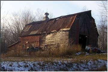 This Old (cow) House