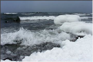 Along the shore