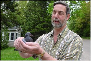 A bird in the hand