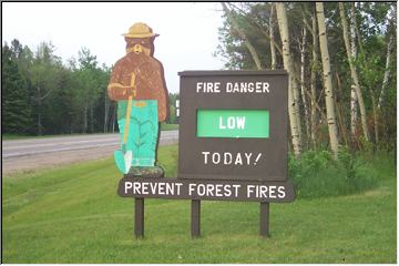 Only you can prevent forest fires