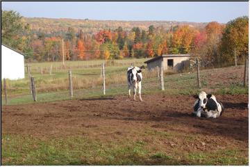 Colorful country