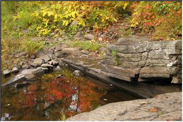 Autumn beauty