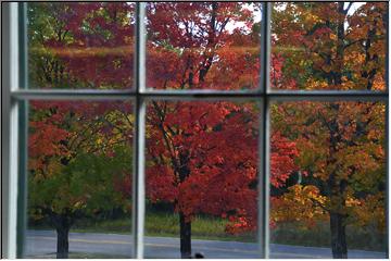 Window view