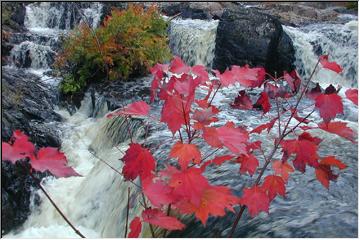 Fall at the falls