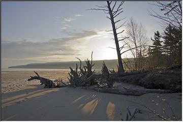 Morning beach walk