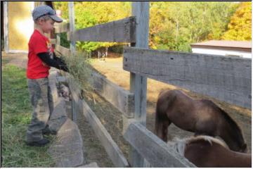 Fall feeding