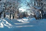 Snow-covered scene