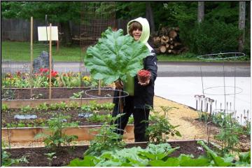 Big leaves