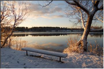 Snowy morning