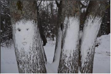 Face in the snow