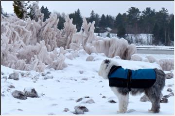 Diesel checks out the ice