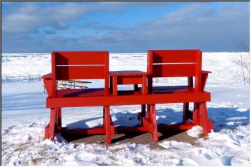 Bench with a viewl