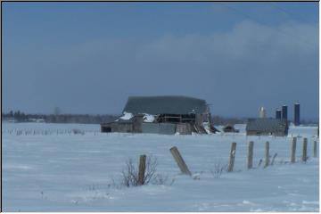 Snow-covered fields