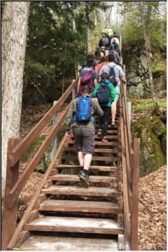 Stair climber