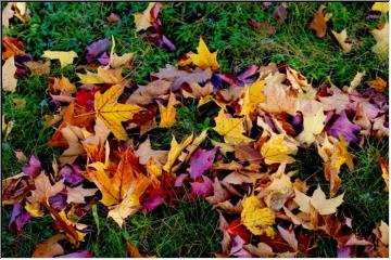 Sturgeon Falls in the fall