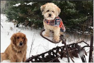 Fun in the snow