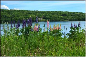 Beauty on the waterfront