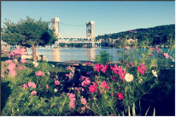 Flowers and the Bridge