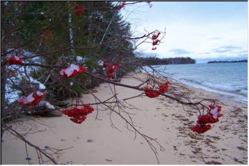 Superior's changing shoreline