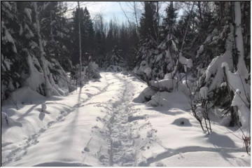 Snowshoe time is here!