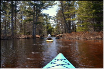 Peaceful Paddling