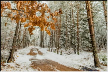 Fresh October Snow