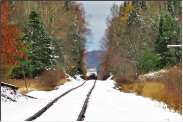 Things you see on train tracks