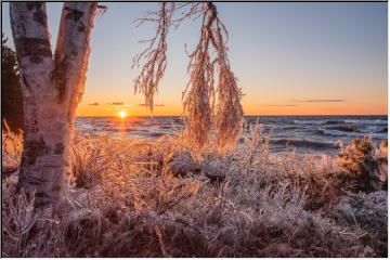 Ice Crystals