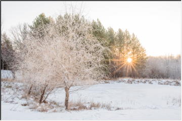 December frost