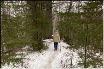 Black Creek Nature Sanctuary