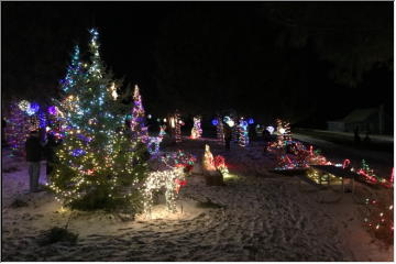 Lights in the Harbor