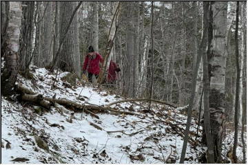 Hiking on the Maasto Hiihto Trails