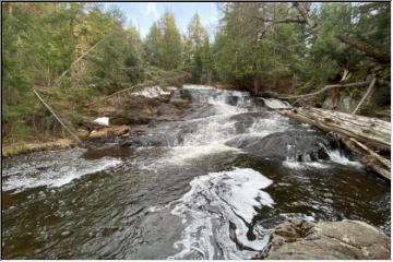 Forty Foot Falls