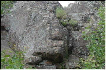 Faces in Stone