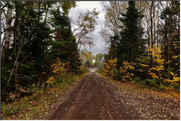 4 wheeling in Autumn