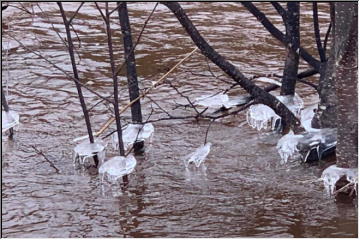 Sturgeon River Art