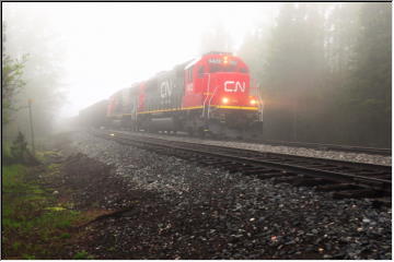 Foggy tracks