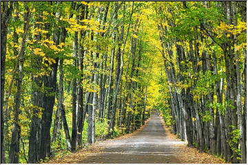 Color on the Covered Road