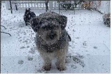 Snow in October