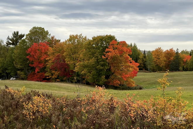 Photo by Kathy Erkkila Ptaszek