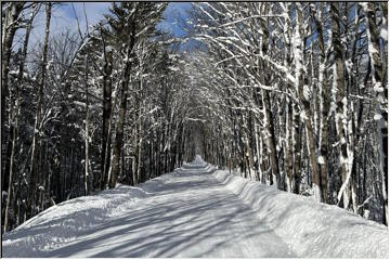 Winter Covered Road