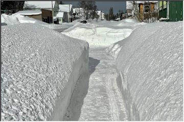 Snow clean-up