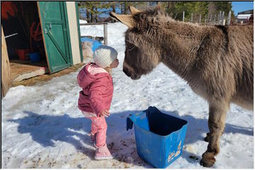 Fun on the Farm