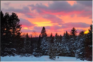 Beauty after the storm