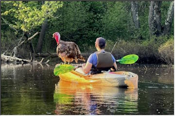 Jack the Kayaking Turkey