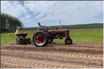 Planting Potatoes