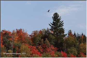 Western Marquette County color