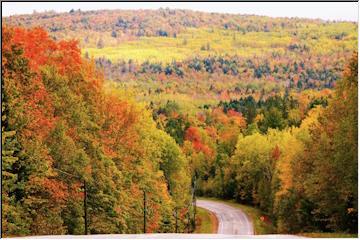 Color in L'Anse and Baraga