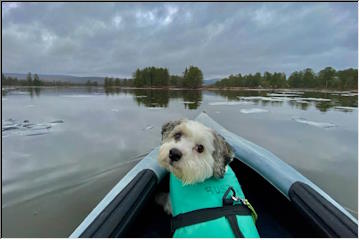 Kayaking in December