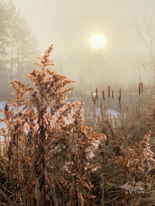 Photo by Brita Haapala